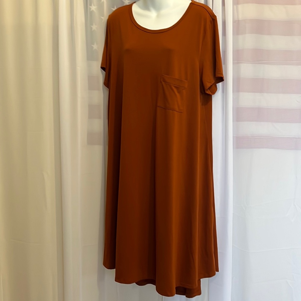 LuLaRoe Womens Carly Dress Size 2XL